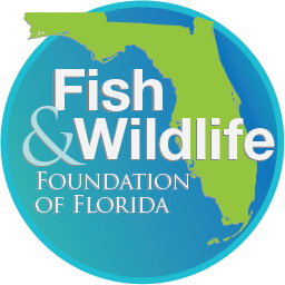 Fish & Wildlife Foundation of Florida