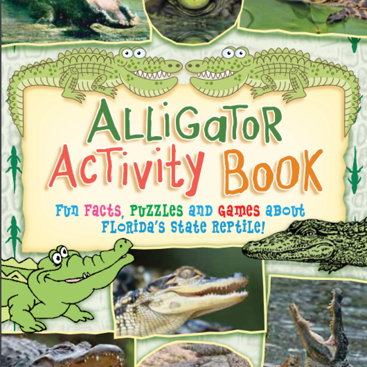 Alligator Activity Book