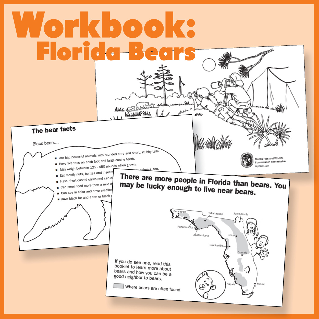 Bears and You Activity + Coloring Book