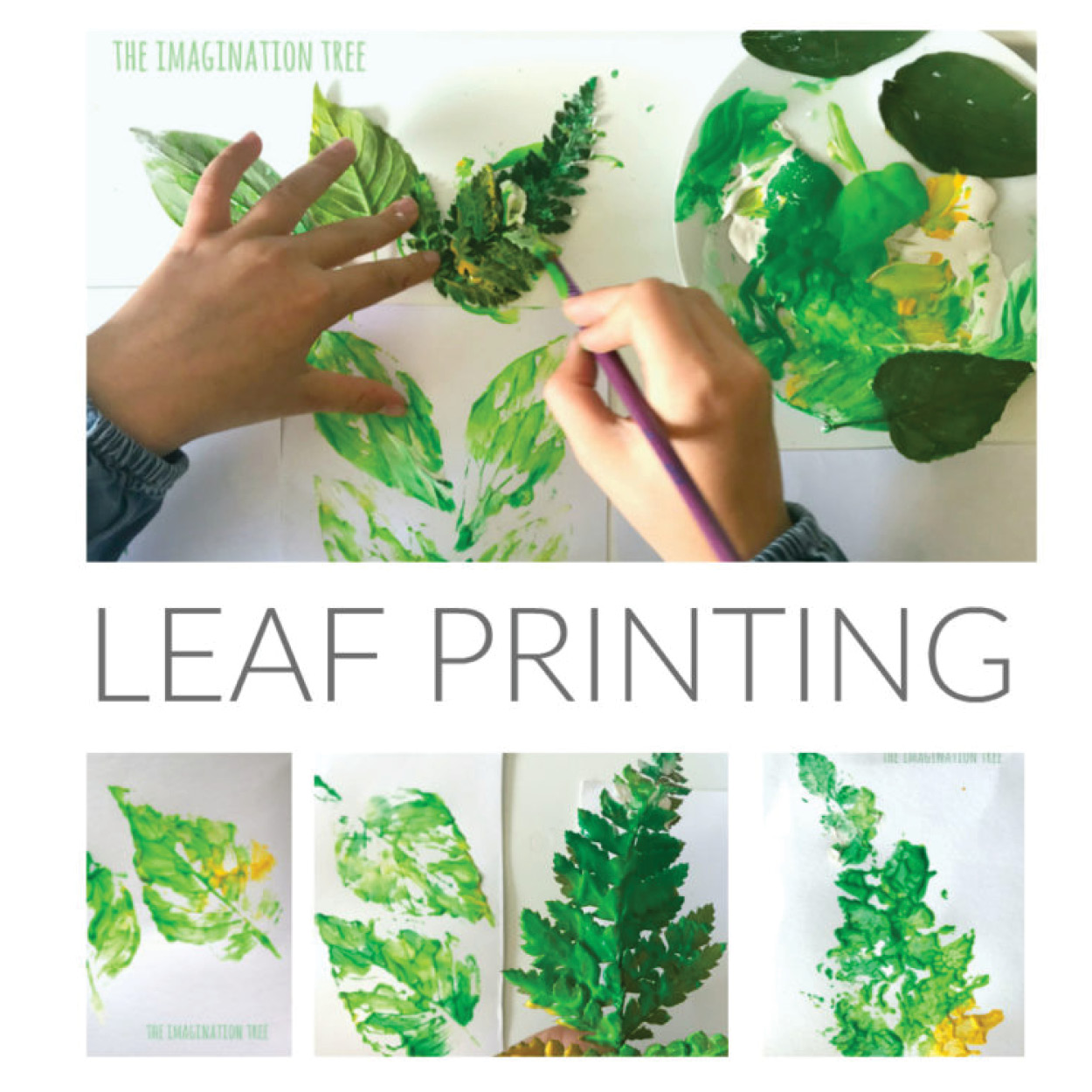 Learn to Make a Leaf Printing