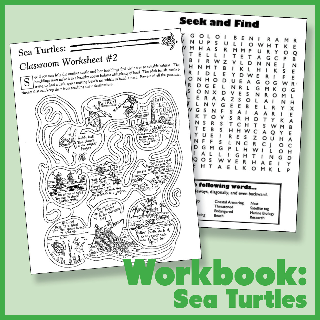 Sea Turtle Fun Pack
